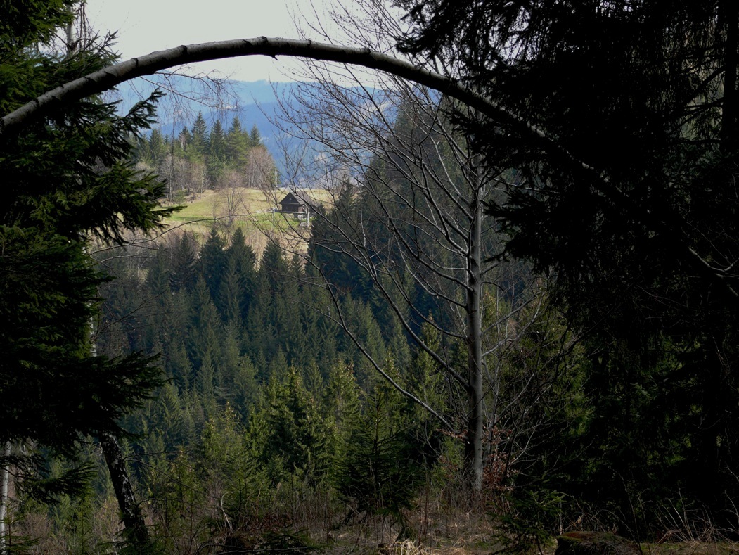 K 039.JPG